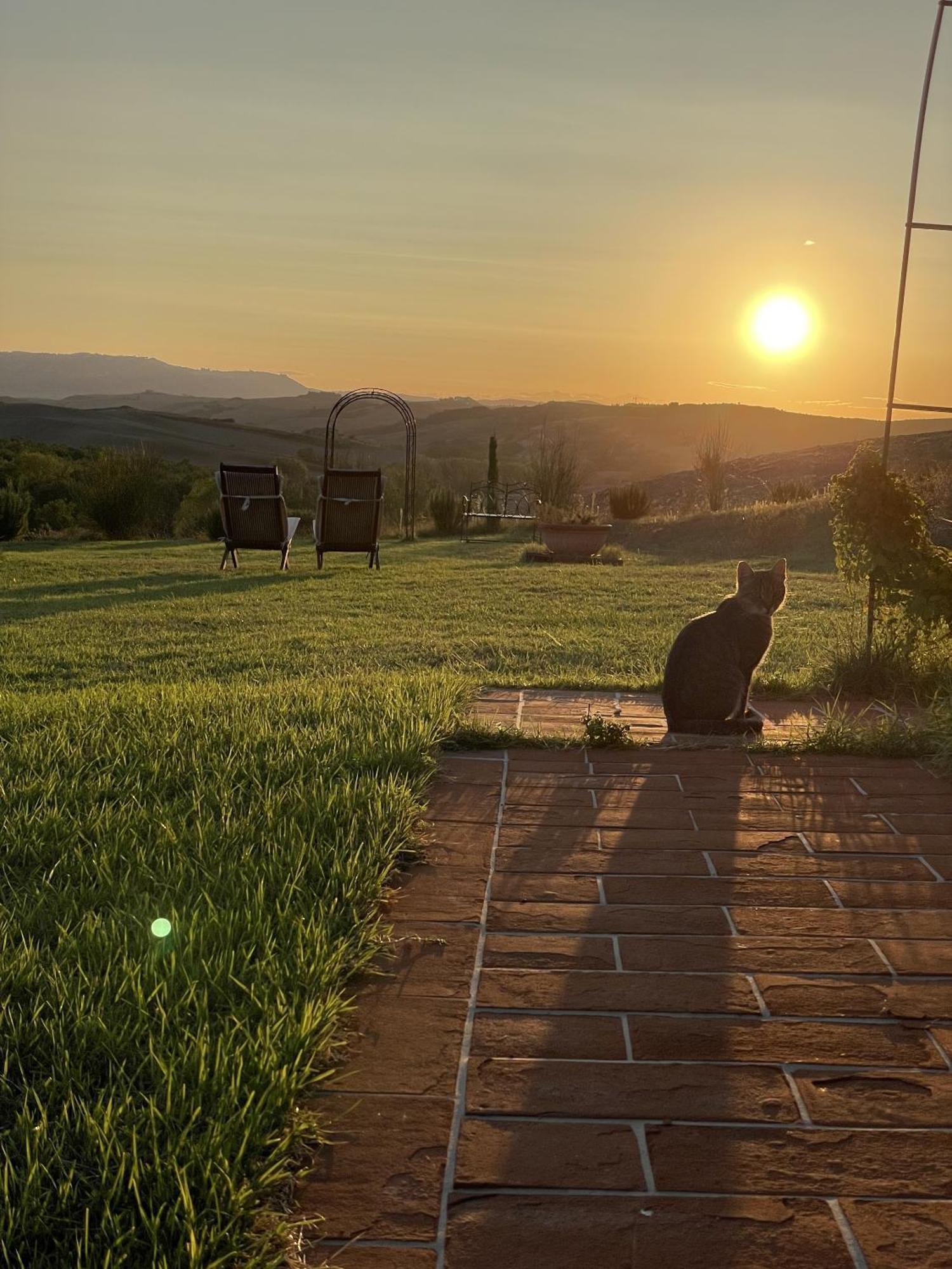Vento D'Orcia Villa Pienza Luaran gambar